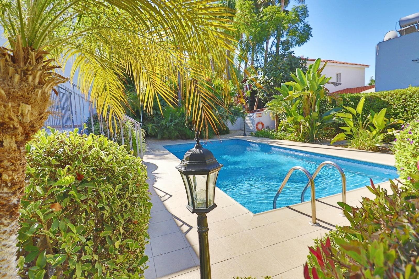 Private pool surrounded by palm trees