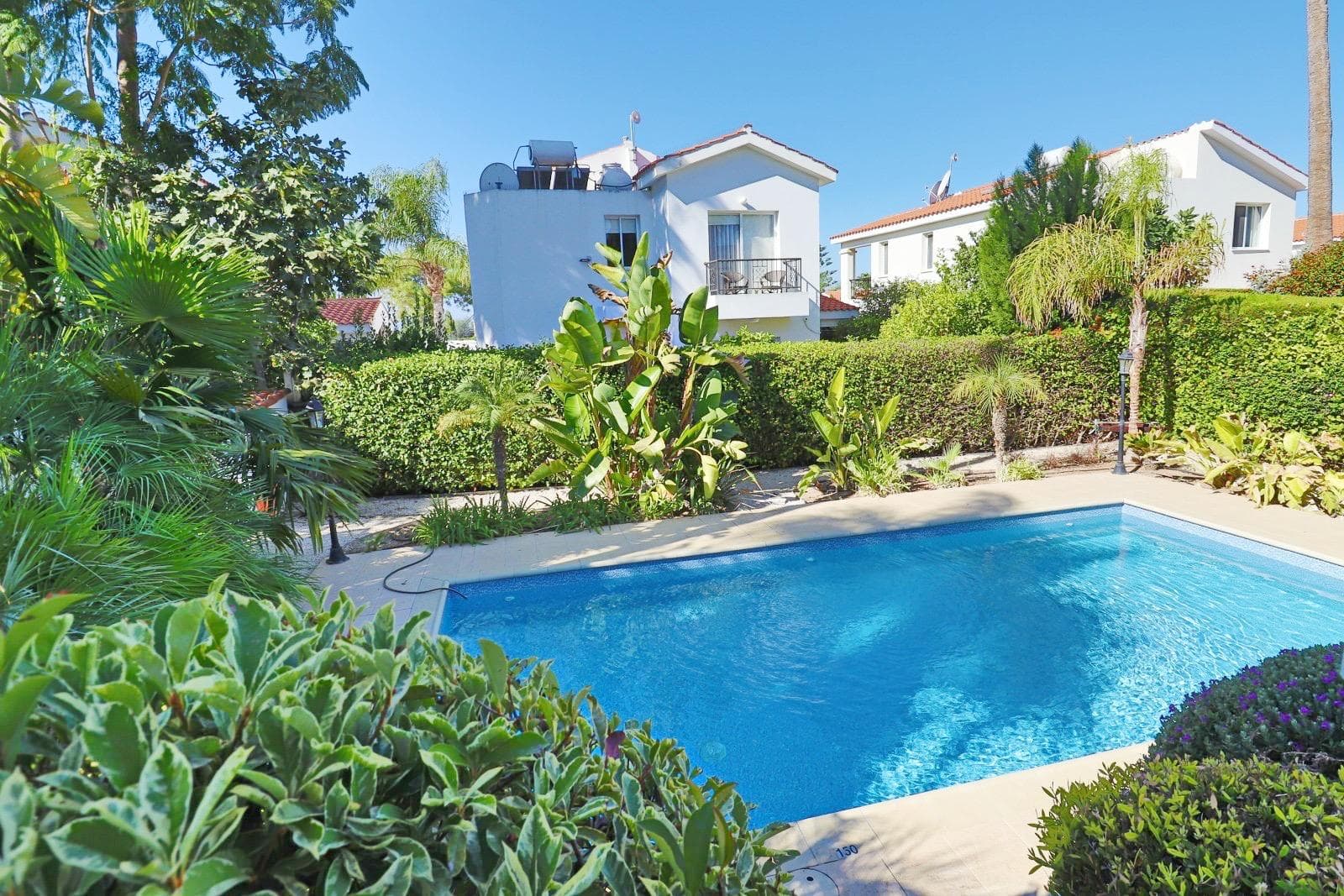 Tropical garden around the pool